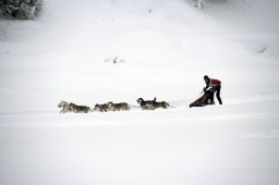 2008_Spluegen