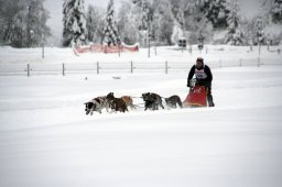 2008_Spluegen