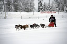 2008_Spluegen