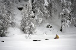 2008_Spluegen