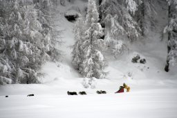 2008_Spluegen
