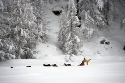 2008_Spluegen