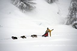 2008_Spluegen