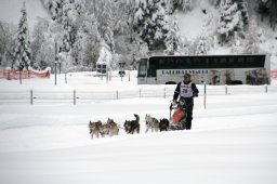 2008_Spluegen
