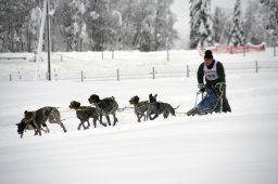 2008_Spluegen
