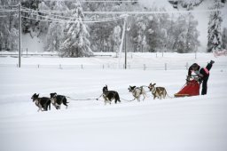 2008_Spluegen