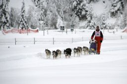 2008_Spluegen