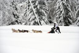 2008_Spluegen