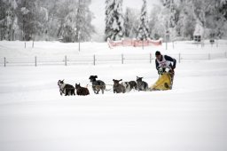 2008_Spluegen
