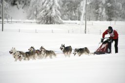 2008_Spluegen