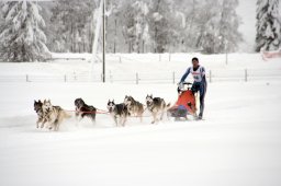 2008_Spluegen