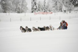 2008_Spluegen