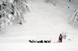 2008_Spluegen
