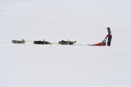 2008_Spluegen