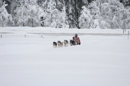 2008_Spluegen