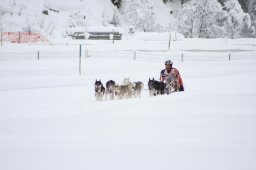2008_Spluegen