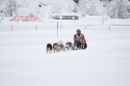 2008_Spluegen