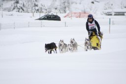 2008_Spluegen