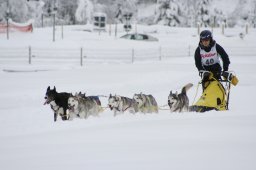 2008_Spluegen
