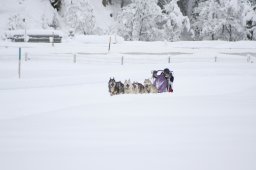 2008_Spluegen
