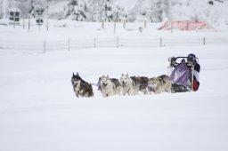 2008_Spluegen
