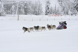 2008_Spluegen