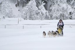 2008_Spluegen