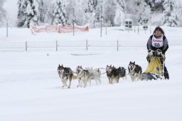 2008_Spluegen