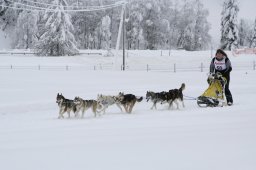 2008_Spluegen