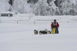 2008_Spluegen