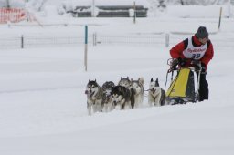 2008_Spluegen