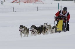 2008_Spluegen