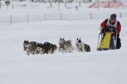 2008_Spluegen