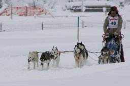 2008_Spluegen