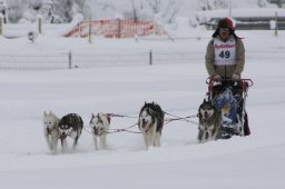 2008_Spluegen