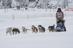 2008_Spluegen