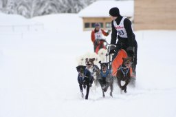 2008_Spluegen