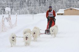 2008_Spluegen
