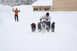 2008_Spluegen