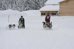 2008_Spluegen