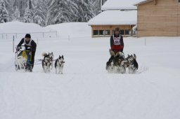 2008_Spluegen