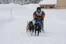 2008_Spluegen