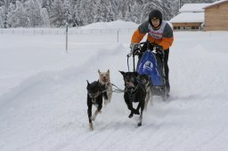 2008_Spluegen