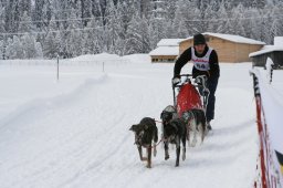 2008_Spluegen
