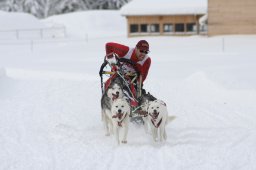 2008_Spluegen