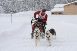 2008_Spluegen