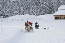 2008_Spluegen
