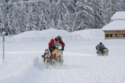 2008_Spluegen