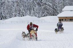 2008_Spluegen