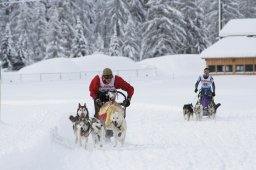 2008_Spluegen